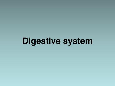 Digestive system.