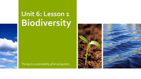 Unit 6: Lesson 1 Biodiversity