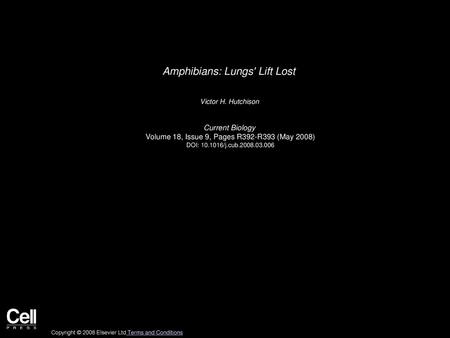 Amphibians: Lungs' Lift Lost