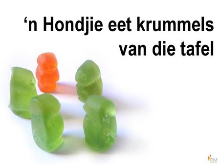 ‘n Hondjie eet krummels van die tafel