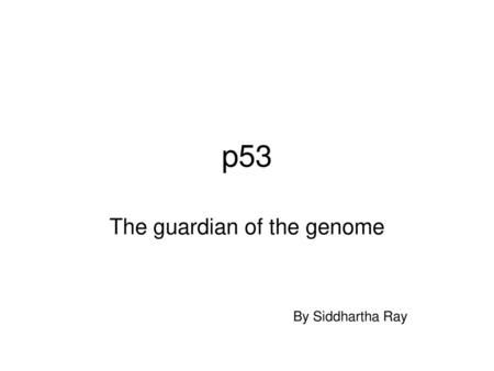 The guardian of the genome