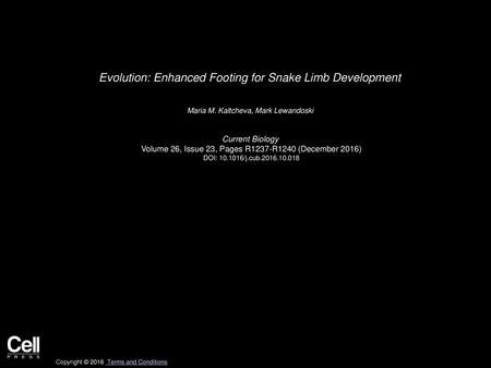 Evolution: Enhanced Footing for Snake Limb Development