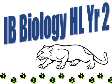 IB Biology HL Yr 2.