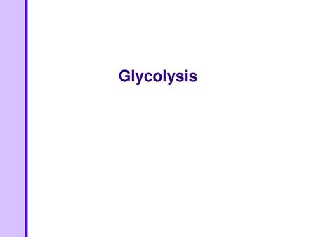 Glycolysis.