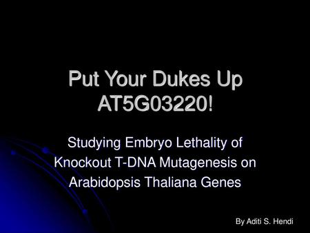 Put Your Dukes Up AT5G03220! Studying Embryo Lethality of