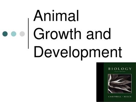 Animal Growth and Development