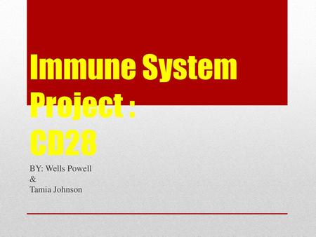 Immune System Project : CD28