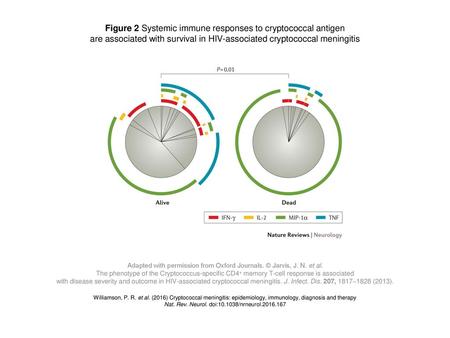 Figure 2 Systemic immune responses to cryptococcal antigen