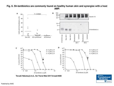 Fig. 6. Sh-lantibiotics are commonly found on healthy human skin and synergize with a host AMP. Sh-lantibiotics are commonly found on healthy human skin.