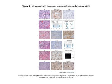 Nat. Rev. Clin. Oncol. doi: /nrclinonc