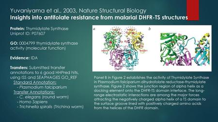 Yuvaniyama et al., 2003, Nature Structural Biology