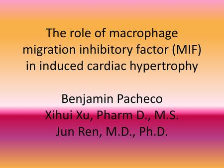 The role of macrophage migration inhibitory factor (MIF) in induced cardiac hypertrophy Benjamin Pacheco Xihui Xu, Pharm D., M.S. Jun Ren, M.D., Ph.D.