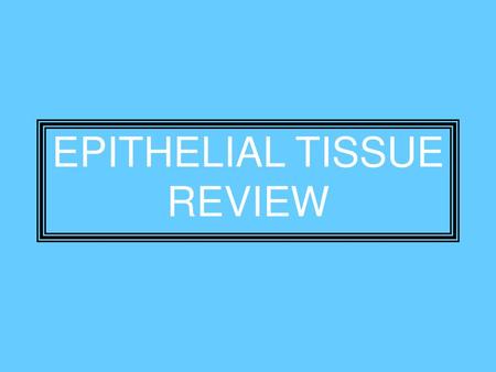 EPITHELIAL TISSUE REVIEW