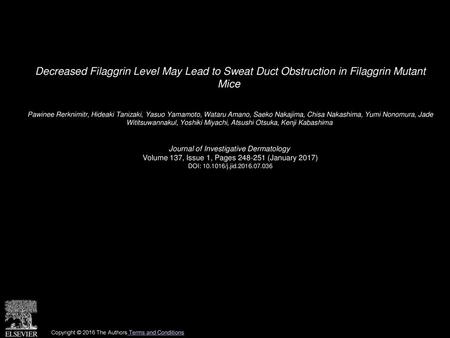 Decreased Filaggrin Level May Lead to Sweat Duct Obstruction in Filaggrin Mutant Mice  Pawinee Rerknimitr, Hideaki Tanizaki, Yasuo Yamamoto, Wataru Amano,