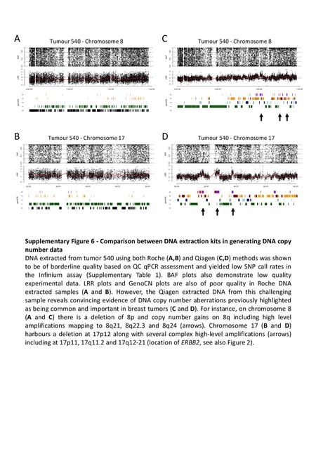 A C Tumour Chromosome 8 Tumour Chromosome 8 B D Tumour Chromosome 17