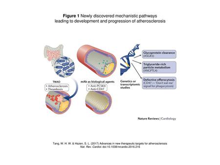 Figure 1 Newly discovered mechanistic pathways