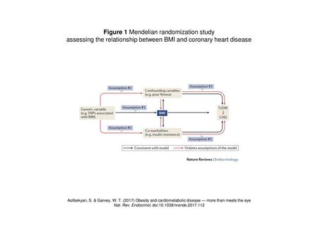 Figure 1 Mendelian randomization study