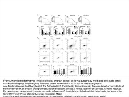 Figure 1. Artemisinin derivatives inhibited EOC growth and arrested the cell cycle at the G2/M phase (A) SKOV3 and primary epithelial ovarian cancer (EOC)