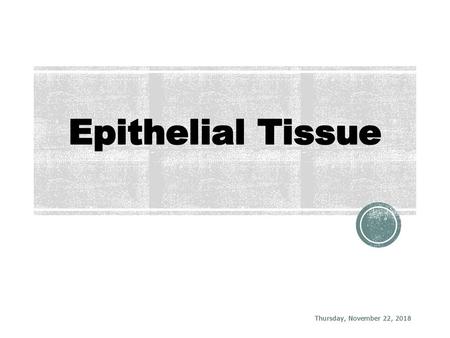 Epithelial Tissue Thursday, November 22, 2018.