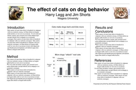 The effect of cats on dog behavior