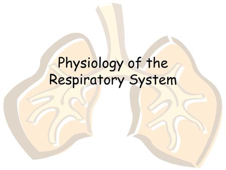 Physiology of the Respiratory System