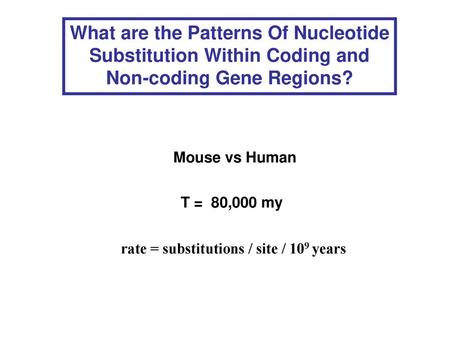 What are the Patterns Of Nucleotide Substitution Within Coding and