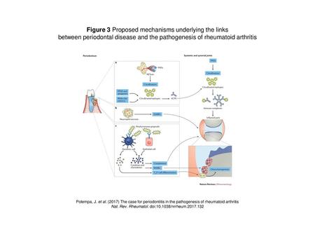 Figure 3 Proposed mechanisms underlying the links