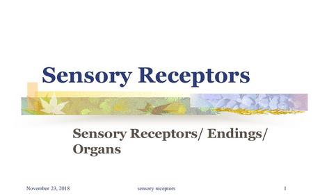 Sensory Receptors/ Endings/ Organs