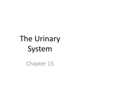 The Urinary System Chapter 15.