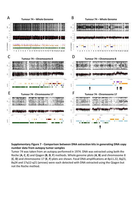 A B Tumour 74 – Whole Genome Tumour 74 – Whole Genome C D