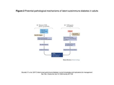 Nat. Rev. Endocrinol. doi: /nrendo