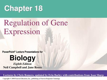 Regulation of Gene Expression