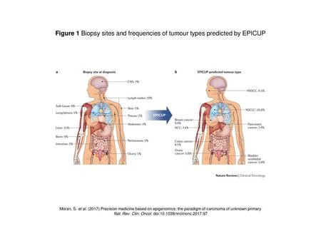 Nat. Rev. Clin. Oncol. doi: /nrclinonc