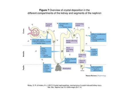 Figure 7 Overview of crystal deposition in the