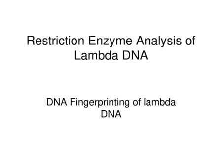 Restriction Enzyme Analysis of Lambda DNA