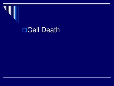 Cell Death.