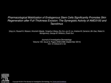 Pharmacological Mobilization of Endogenous Stem Cells Significantly Promotes Skin Regeneration after Full-Thickness Excision: The Synergistic Activity.