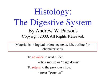 Histology: The Digestive System By Andrew W