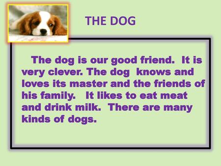 THE DOG The dog is our good friend. It is very clever. The dog knows and loves its master and the friends of his family. It likes to eat meat and drink.