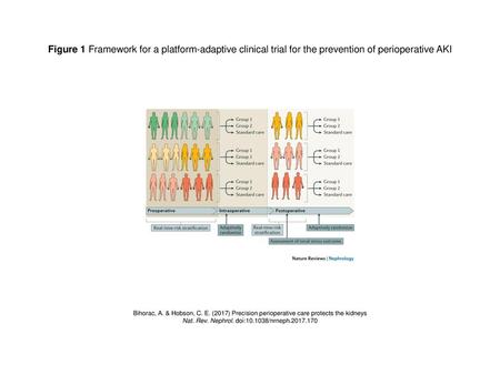 Nat. Rev. Nephrol. doi: /nrneph