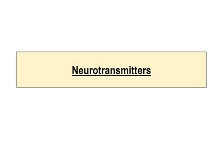 Neurotransmitters.