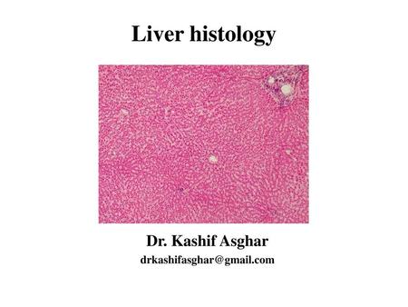 Dr. Kashif Asghar drkashifasghar@gmail.com Liver histology Dr. Kashif Asghar drkashifasghar@gmail.com.