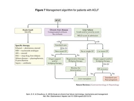 Figure 7 Management algorithm for patients with ACLF