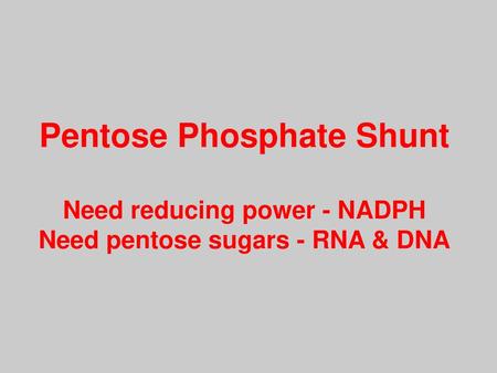 Pentose Phosphate Shunt Need reducing power - NADPH Need pentose sugars - RNA & DNA Title slide.