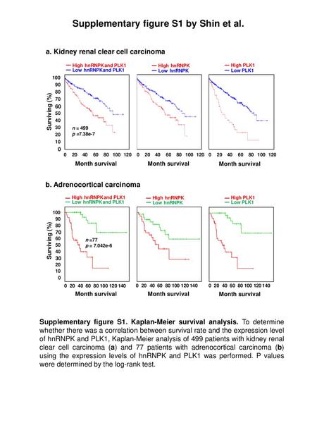 Supplementary figure S1 by Shin et al.