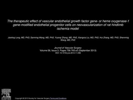 The therapeutic effect of vascular endothelial growth factor gene- or heme oxygenase-1 gene-modified endothelial progenitor cells on neovascularization.