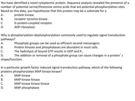 You have identified a novel cytoplasmic protein