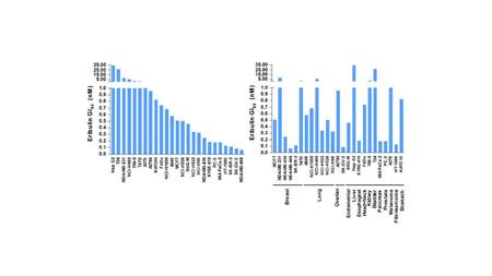 Figure 1: Assessment of eribulin activity in twenty-five cell lines