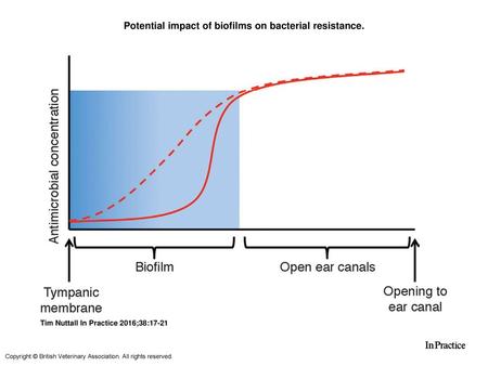 Potential impact of biofilms on bacterial resistance.