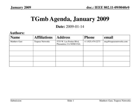 TGmb Agenda, January 2009 Date: Authors: January 2009